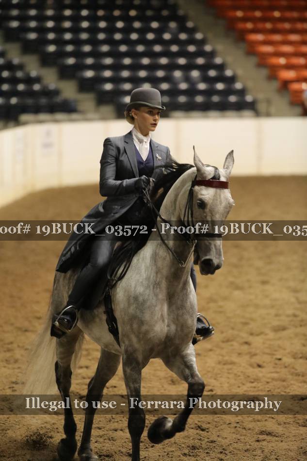 Proof 19BUCK_03572