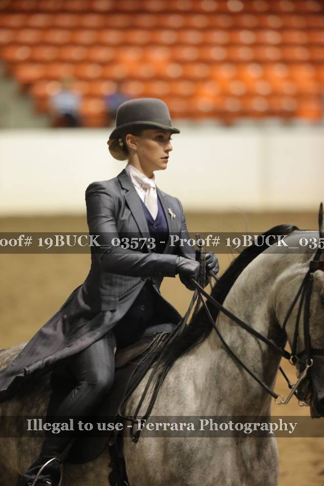 Proof 19BUCK_03573
