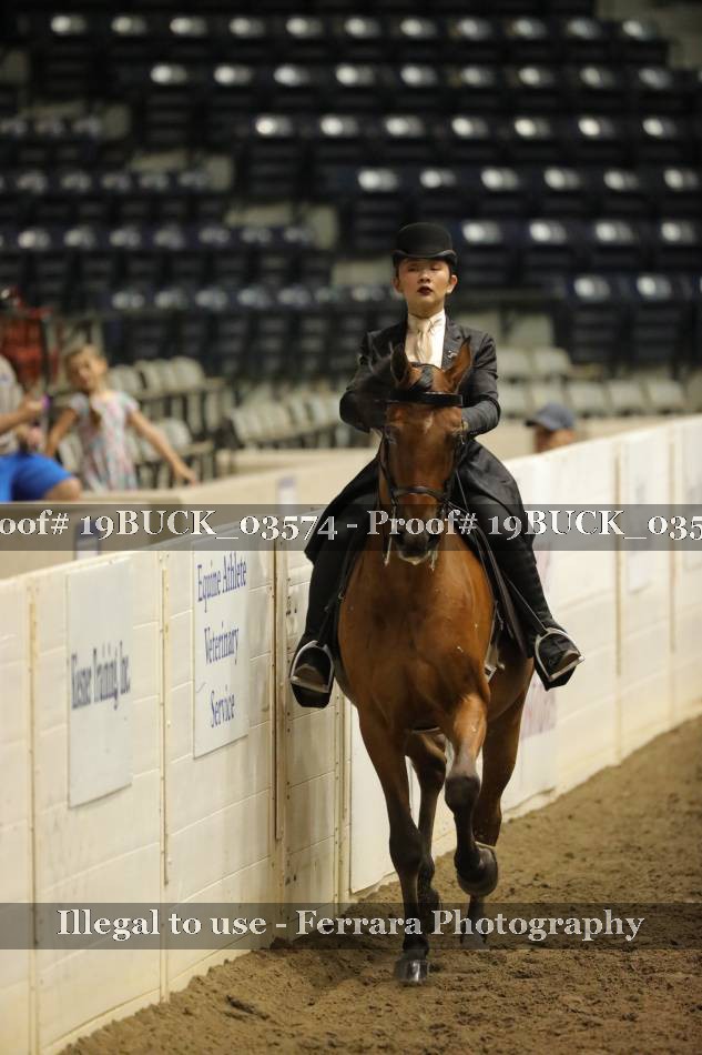Proof 19BUCK_03574