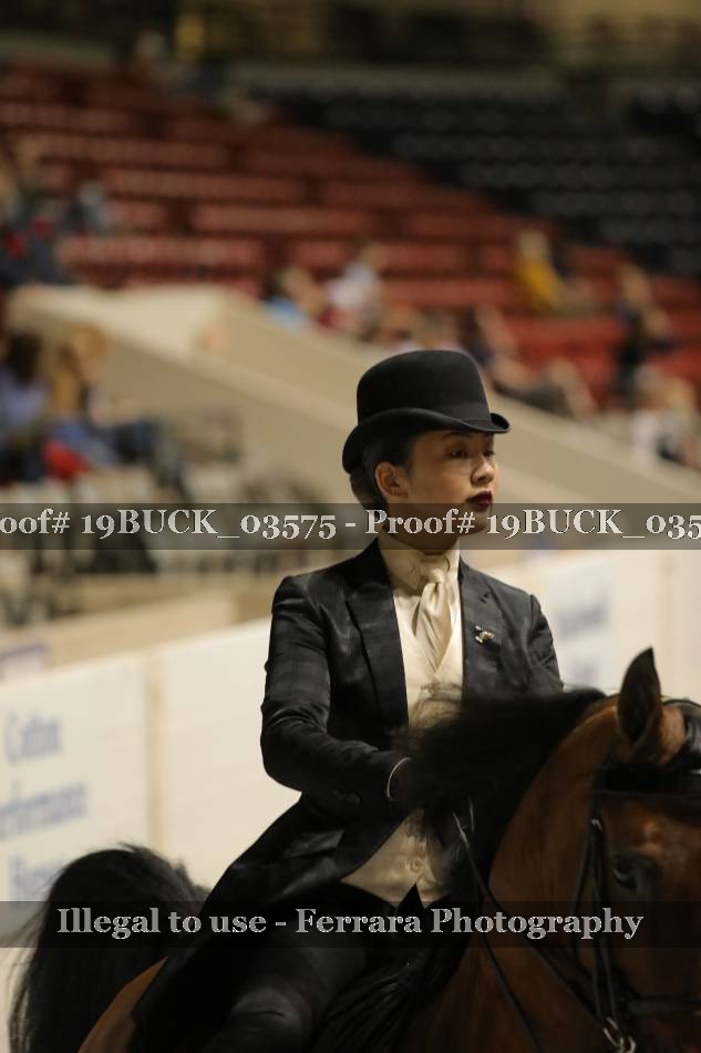Proof 19BUCK_03575