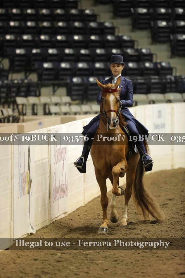 Proof 19BUCK_03576