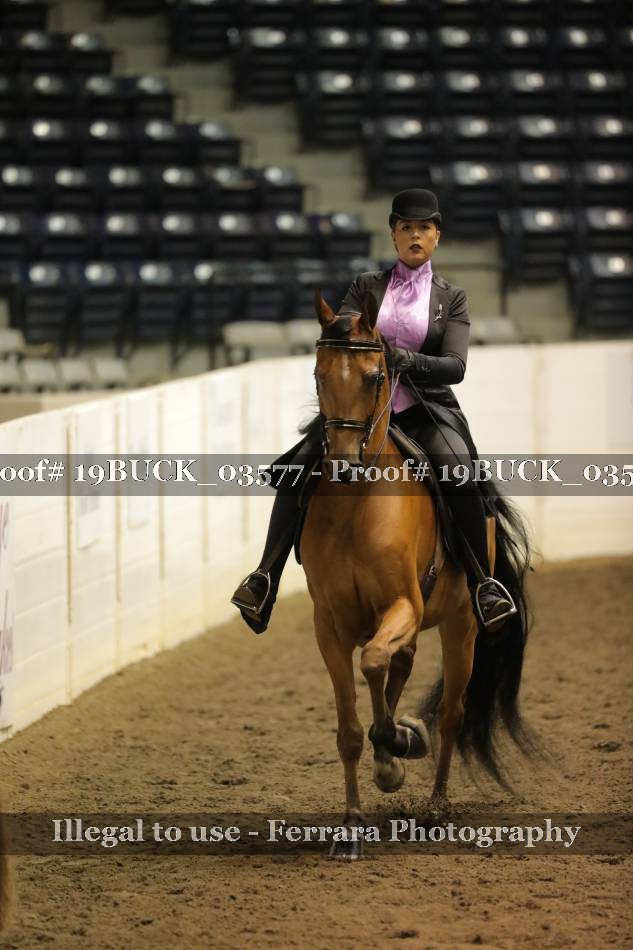 Proof 19BUCK_03577