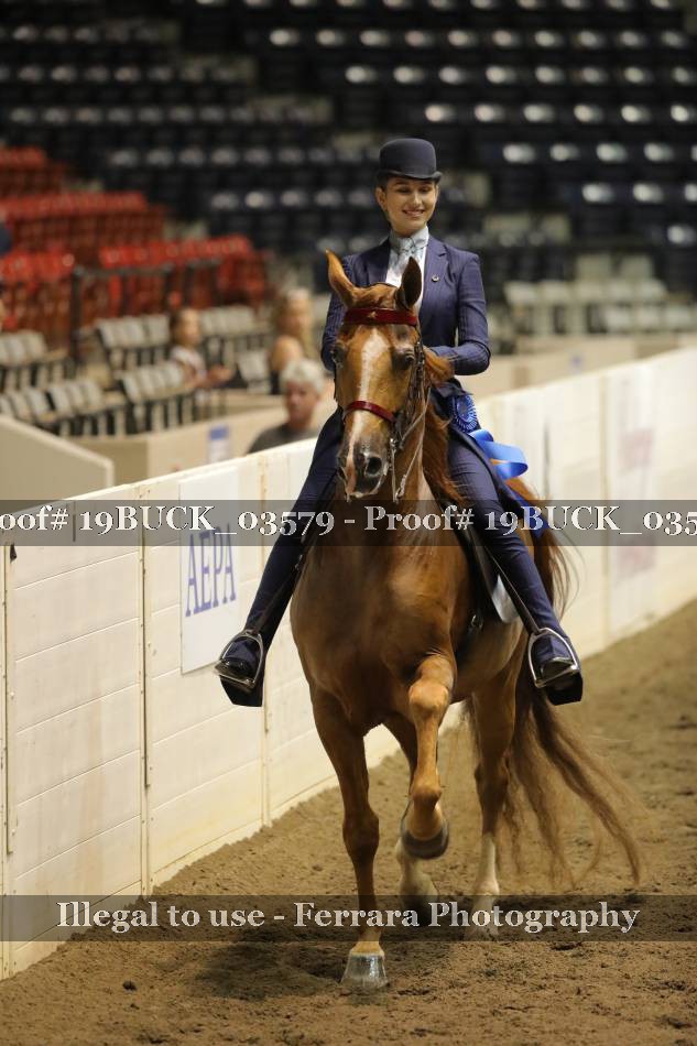 Proof 19BUCK_03579