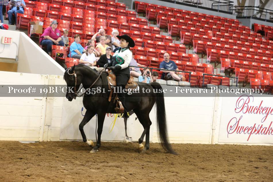 Proof 19BUCK_03581