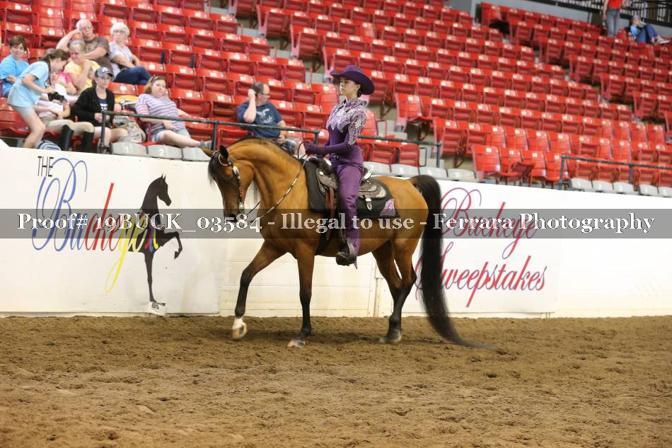 Proof 19BUCK_03584