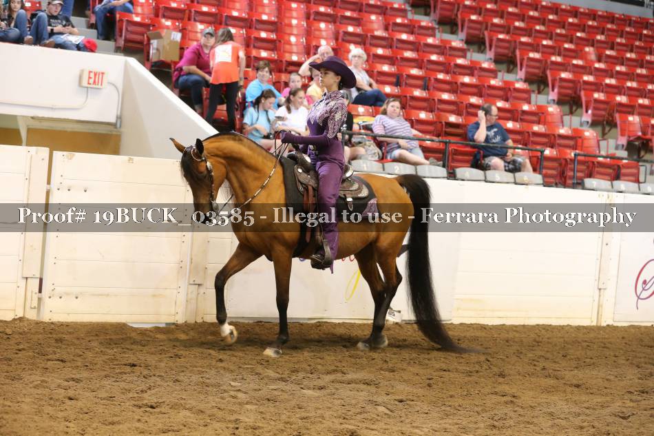 Proof 19BUCK_03585