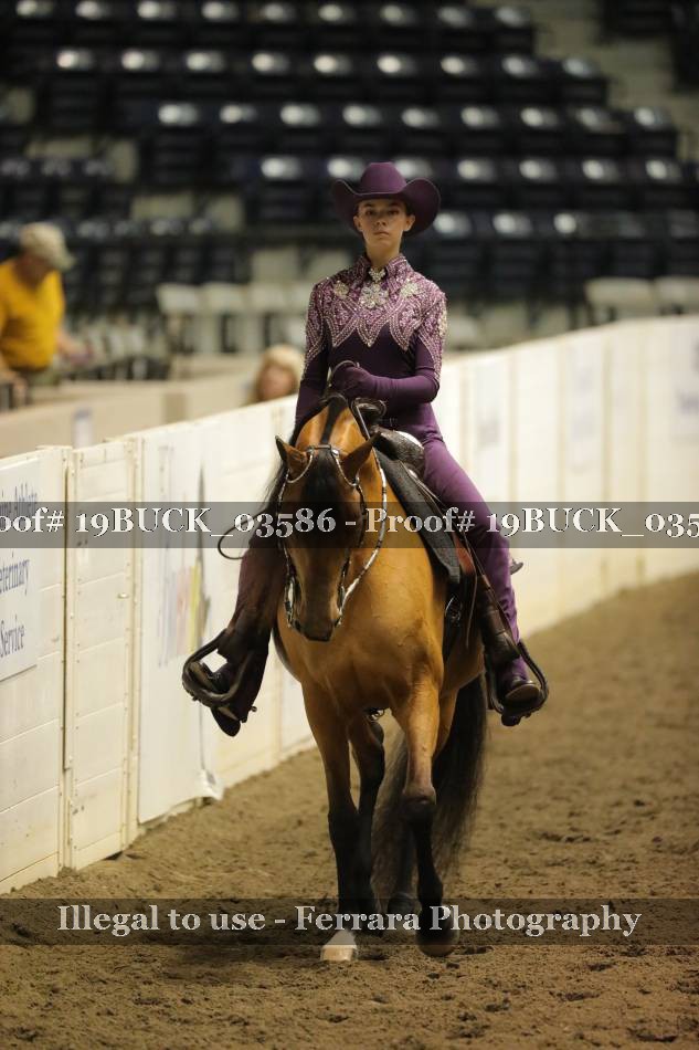 Proof 19BUCK_03586