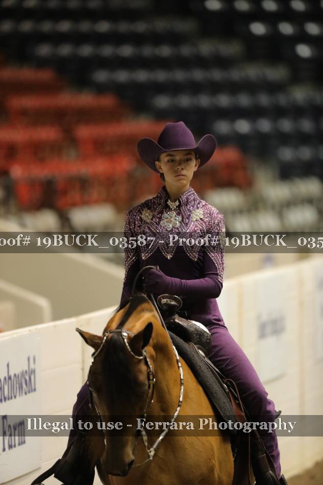 Proof 19BUCK_03587
