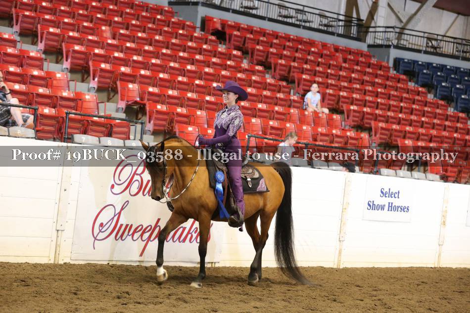 Proof 19BUCK_03588