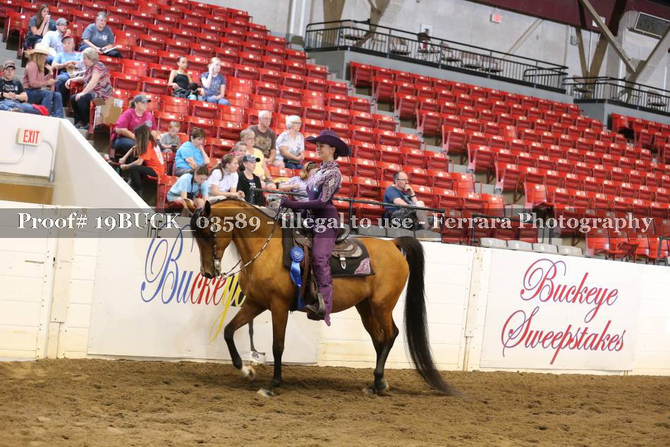 Proof 19BUCK_03589