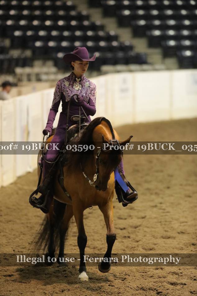 Proof 19BUCK_03590