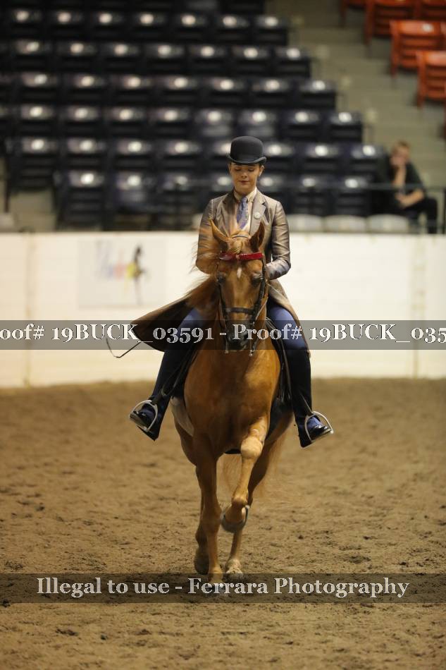 Proof 19BUCK_03591