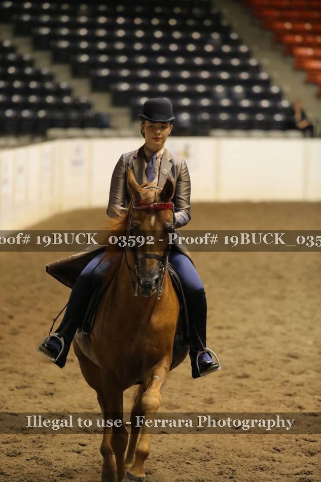 Proof 19BUCK_03592
