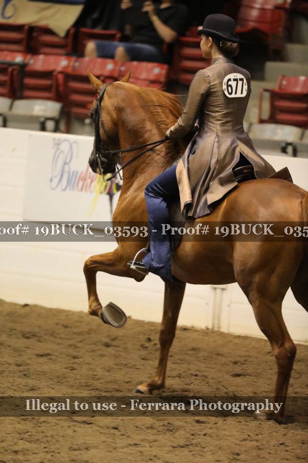 Proof 19BUCK_03593