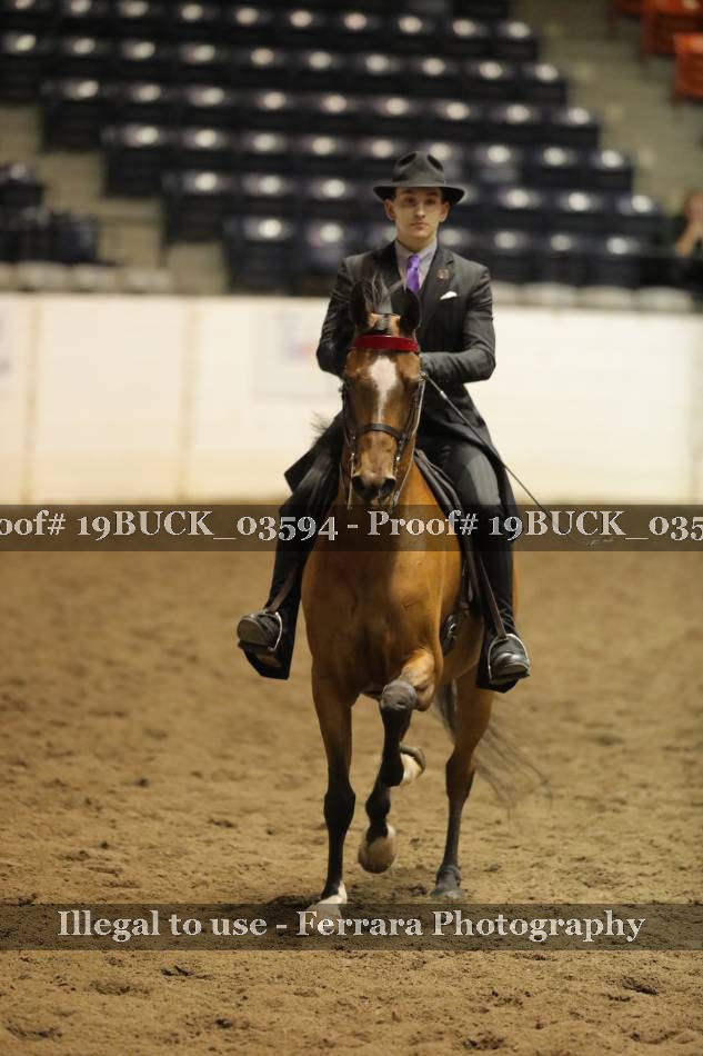 Proof 19BUCK_03594