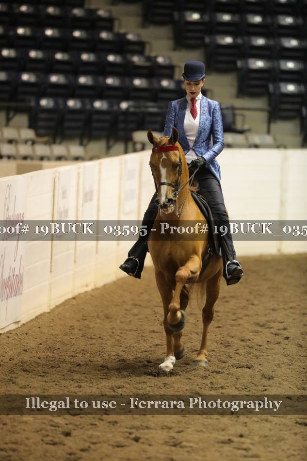 Proof 19BUCK_03595