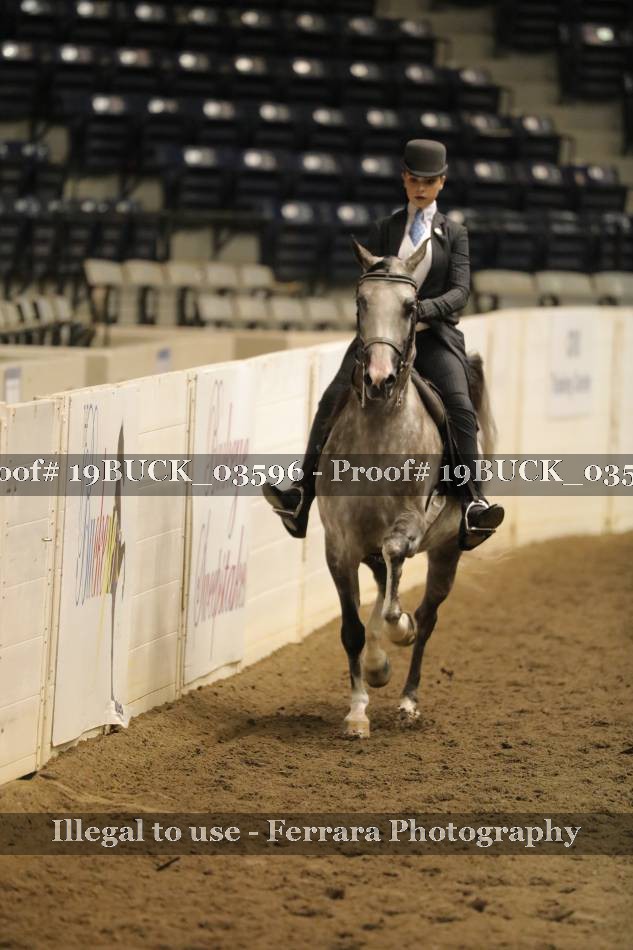 Proof 19BUCK_03596
