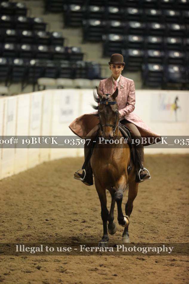 Proof 19BUCK_03597
