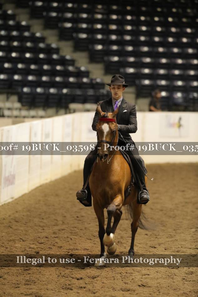 Proof 19BUCK_03598