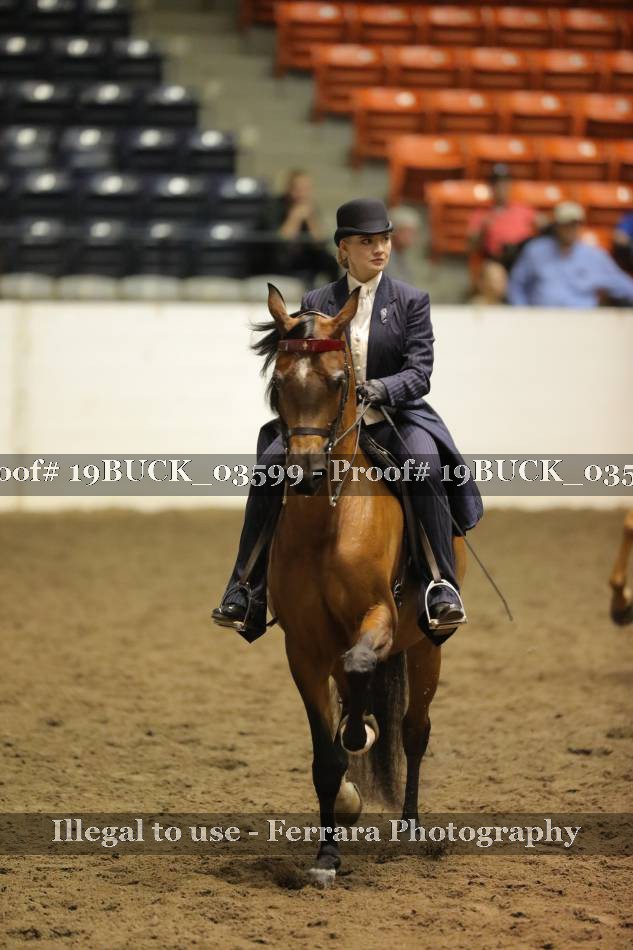 Proof 19BUCK_03599