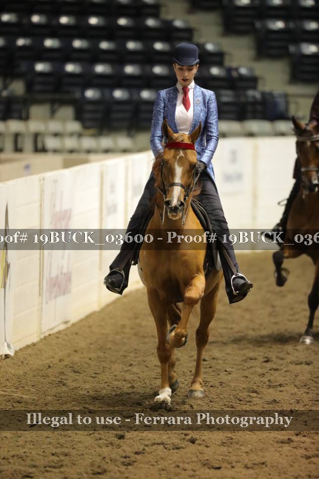 Proof 19BUCK_03600