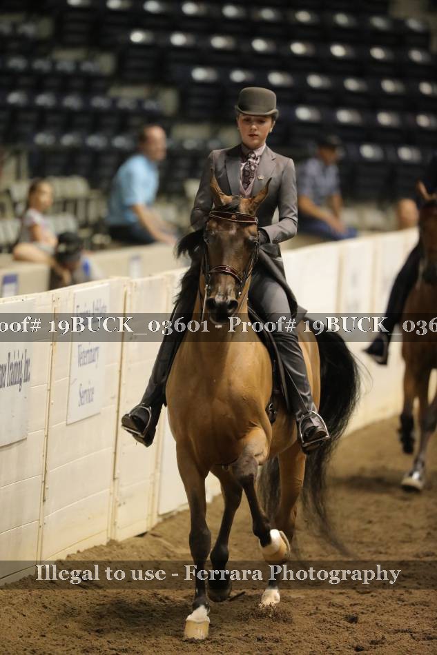 Proof 19BUCK_03601