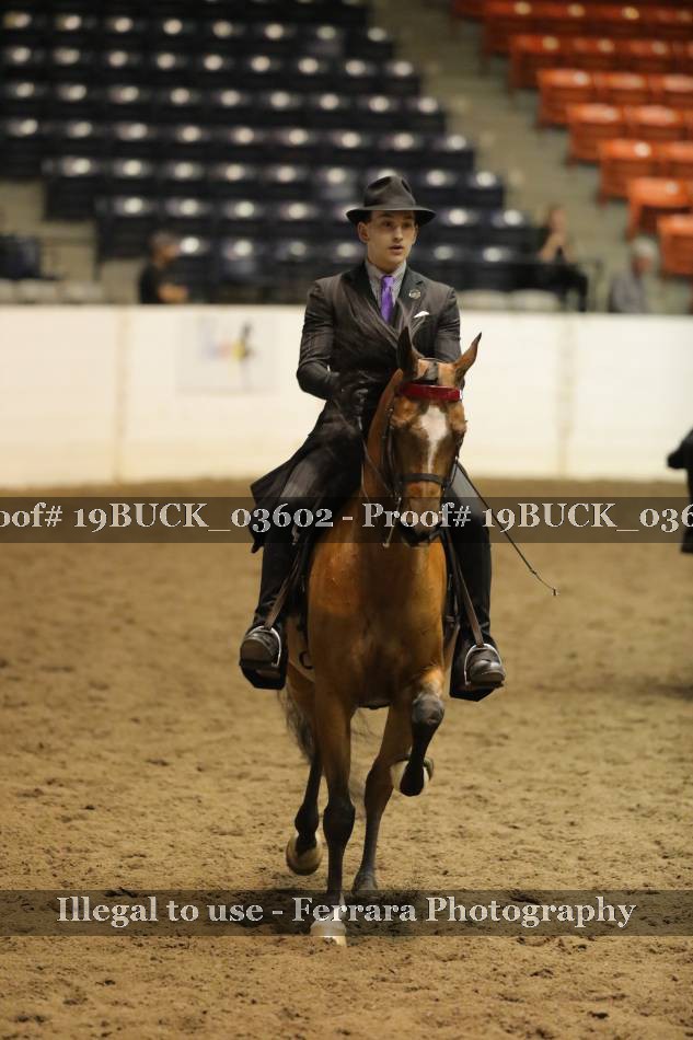 Proof 19BUCK_03602
