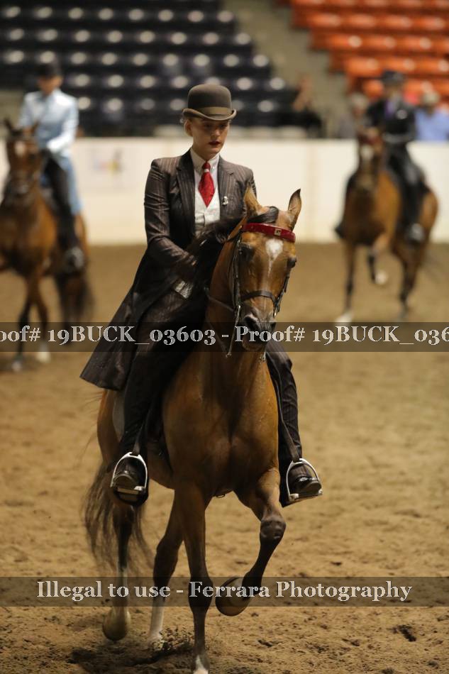 Proof 19BUCK_03603