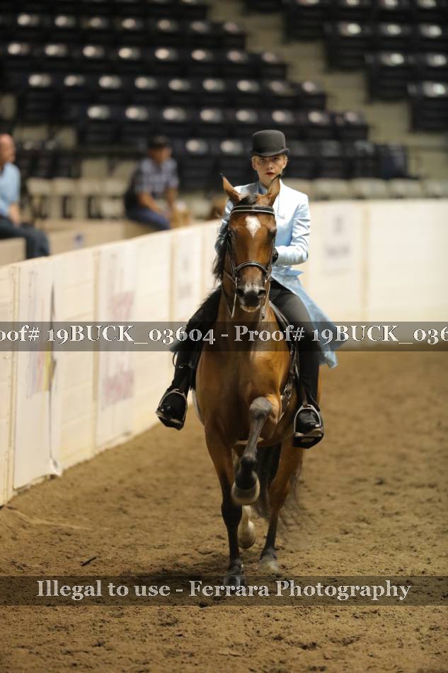 Proof 19BUCK_03604