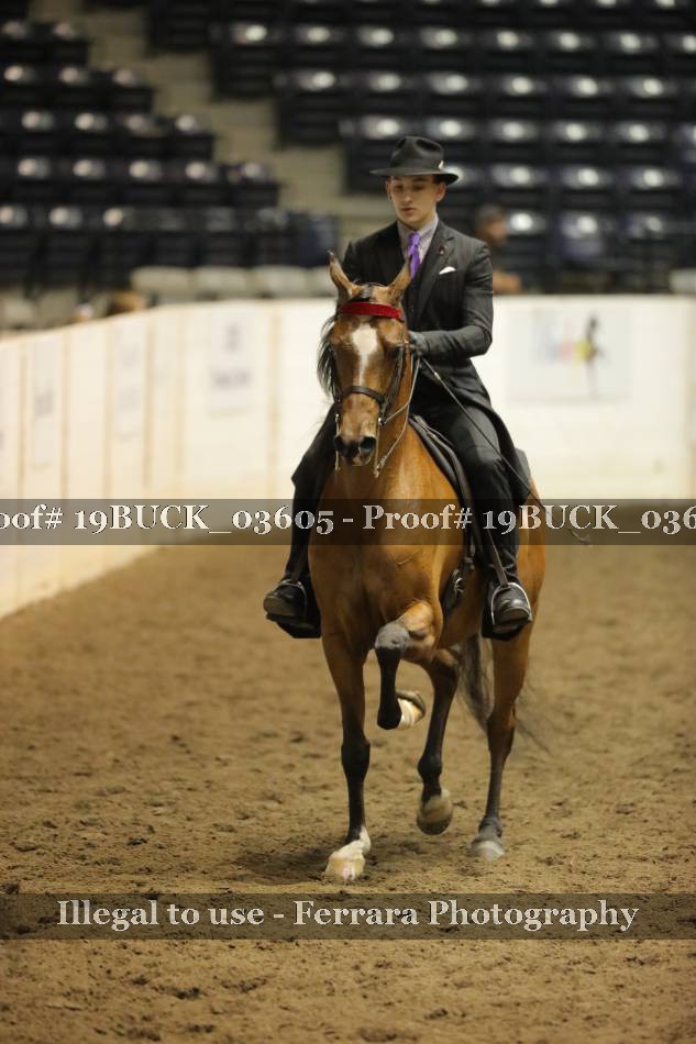 Proof 19BUCK_03605