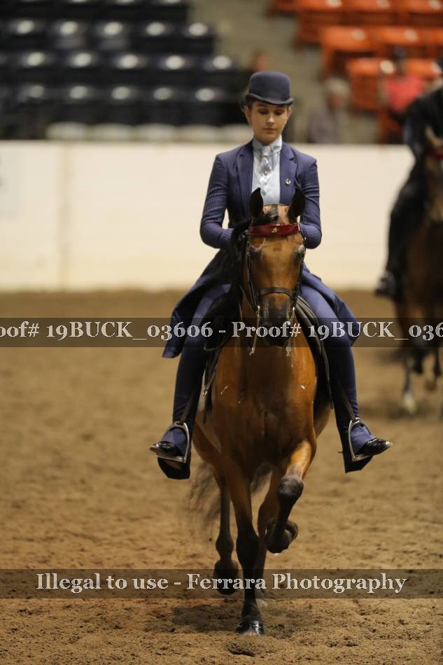 Proof 19BUCK_03606