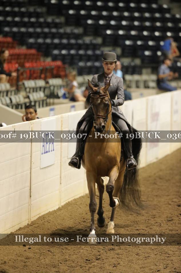 Proof 19BUCK_03607