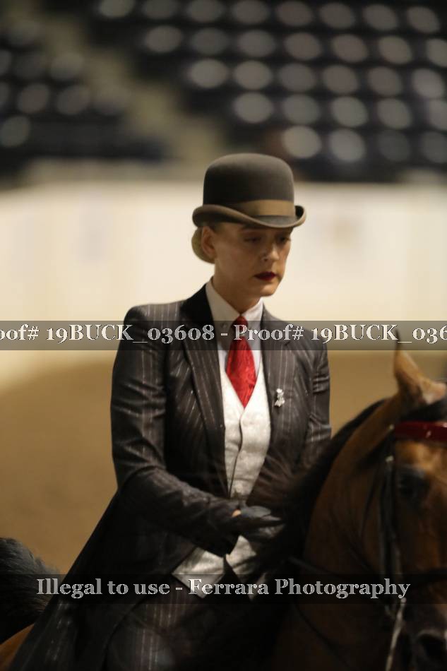 Proof 19BUCK_03608