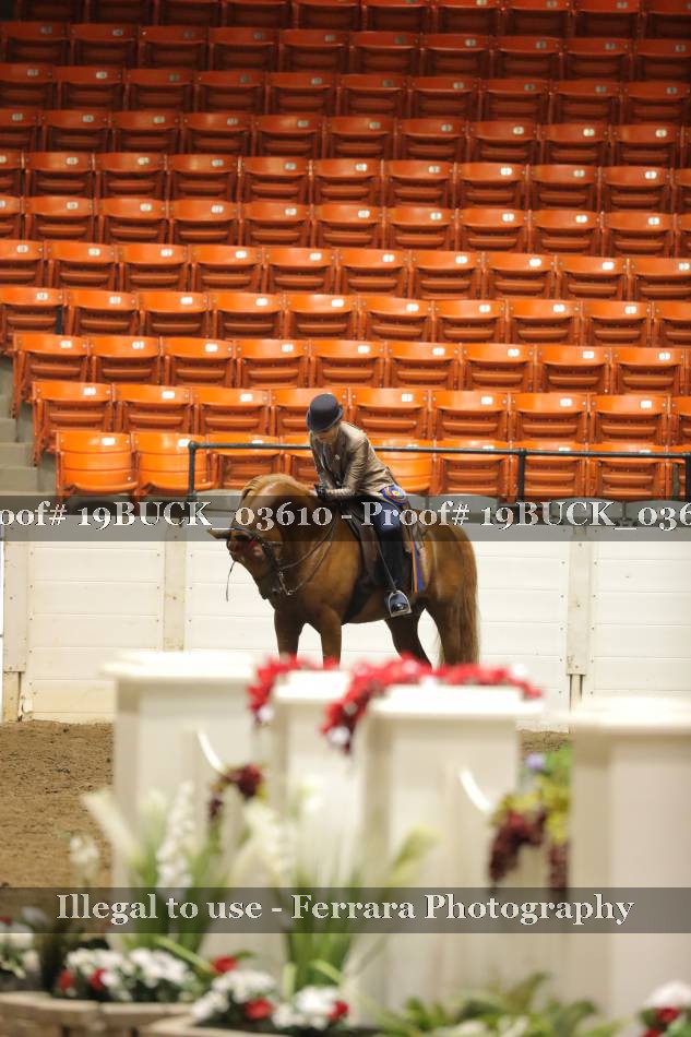 Proof 19BUCK_03610