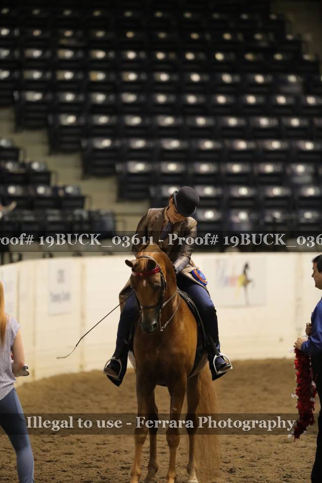 Proof 19BUCK_03611