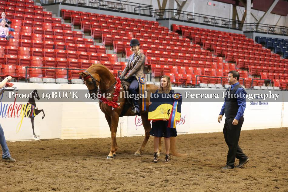 Proof 19BUCK_03612