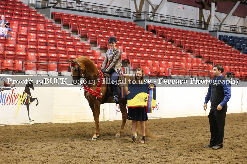 Proof 19BUCK_03613