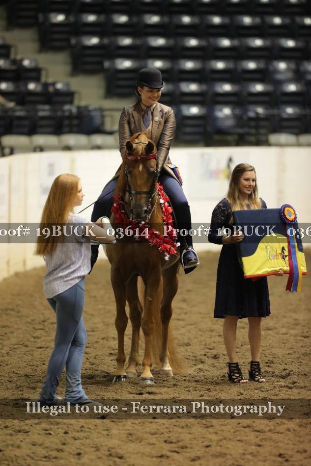 Proof 19BUCK_03614