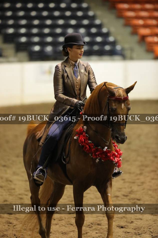 Proof 19BUCK_03615