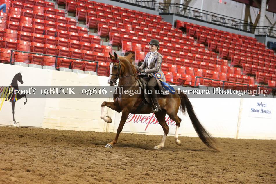 Proof 19BUCK_03616