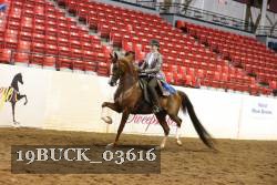 19BUCK_03616 proof