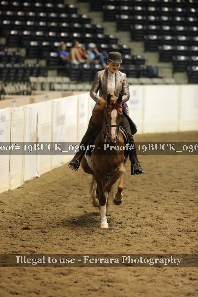 Proof 19BUCK_03617
