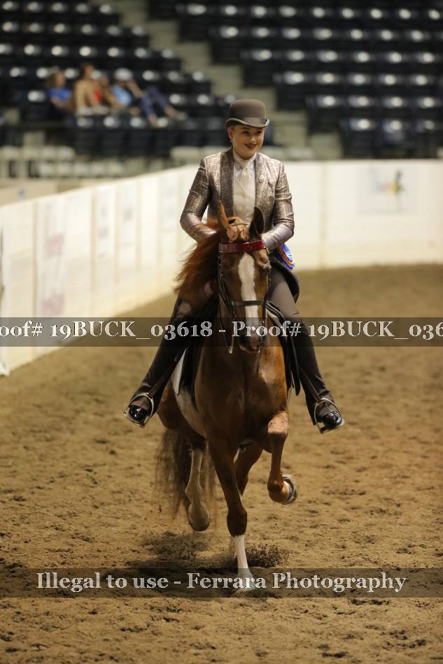 Proof 19BUCK_03618