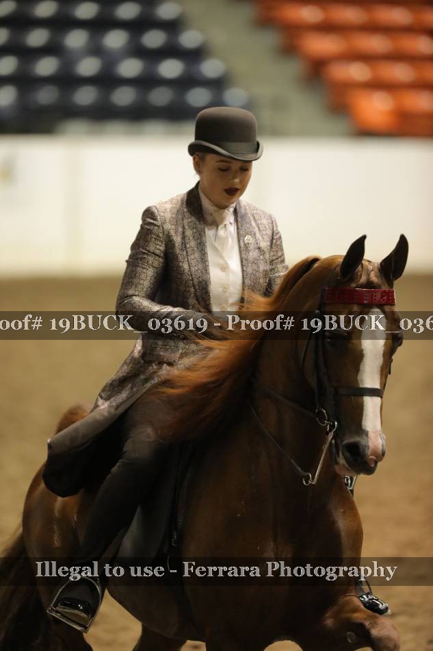 Proof 19BUCK_03619