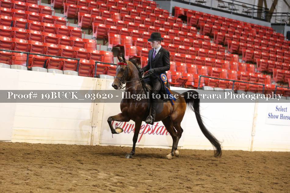 Proof 19BUCK_03620