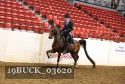 19BUCK_03620 proof