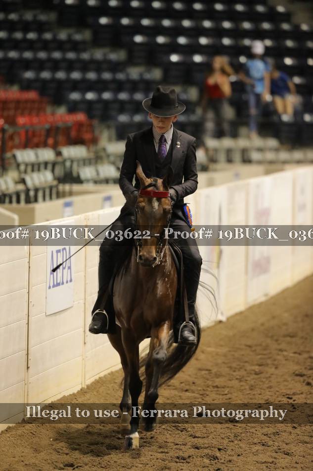 Proof 19BUCK_03622