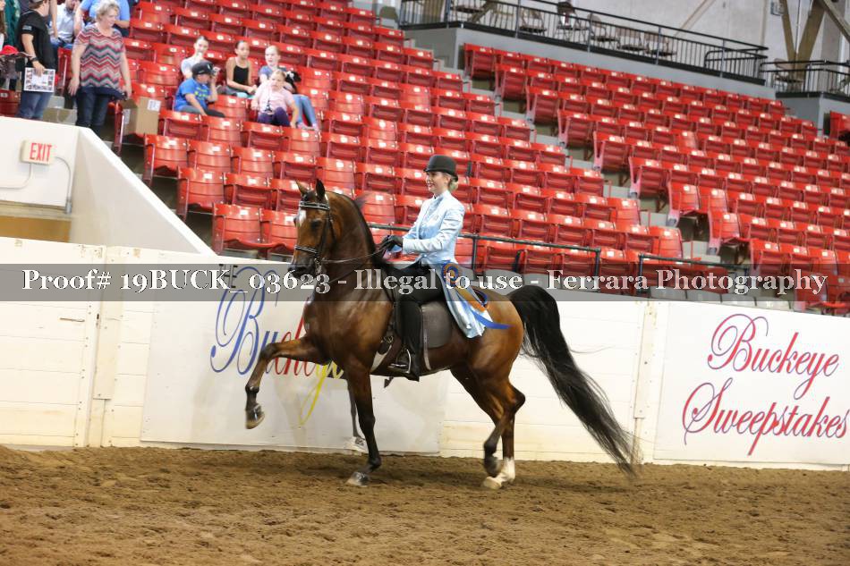 Proof 19BUCK_03623