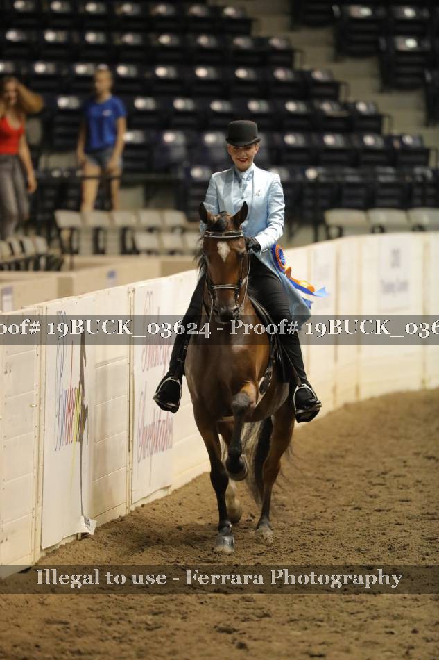 Proof 19BUCK_03624