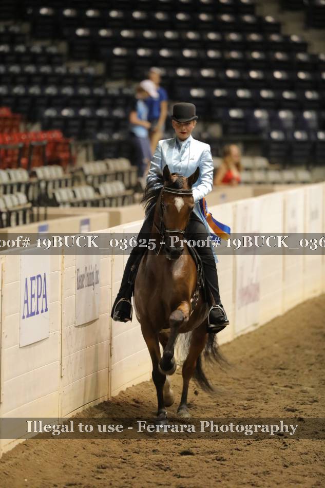 Proof 19BUCK_03625